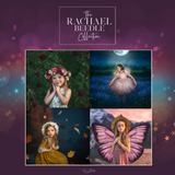 Rachael Beedle Collection - Meg Bitton Productions