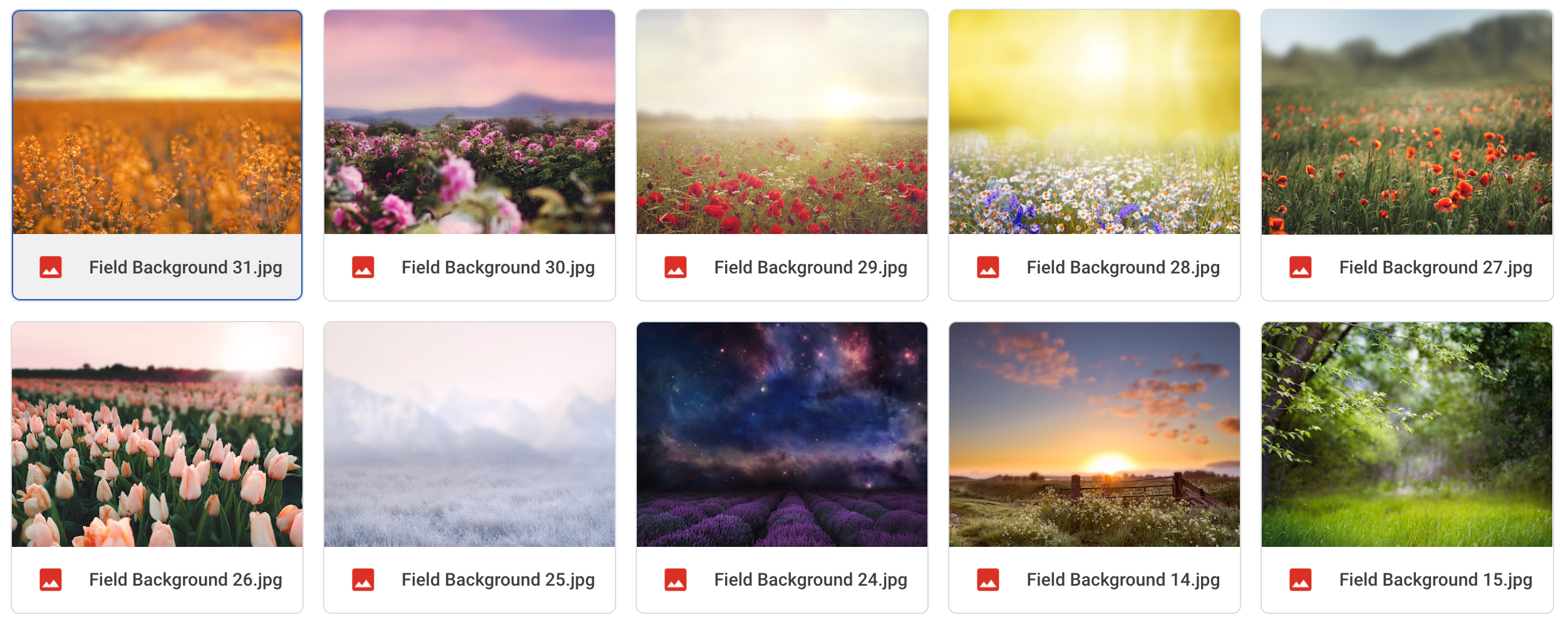 Magical Bundle of Field Backgrounds - Meg Bitton Productions