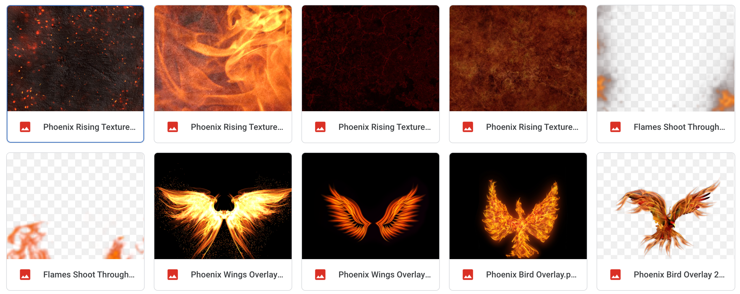 The Phoenix Rising Bundle - Meg Bitton Productions