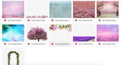 Magical Bundle of Spring Digital Products - Meg Bitton Productions