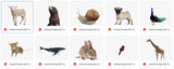 Magical Bundle of Animal Overlays - Meg Bitton Productions