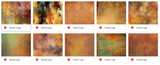 Magical Fall Fine Art Textures - Meg Bitton Productions