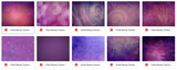 Magical Violet Beauty Textures - Meg Bitton Productions