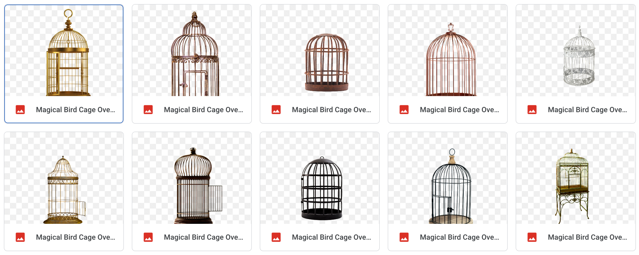 Magical Birdcage Overlays - Meg Bitton Productions