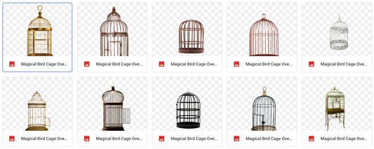 Magical Birdcage Overlays - Meg Bitton Productions