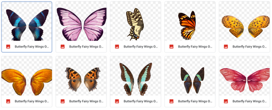 Magical Butterfly Fairy Wings - Meg Bitton Productions