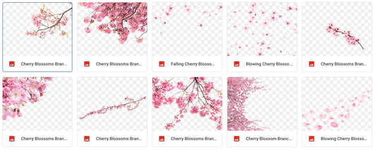 Magical Cherry Blossoms - Meg Bitton Productions