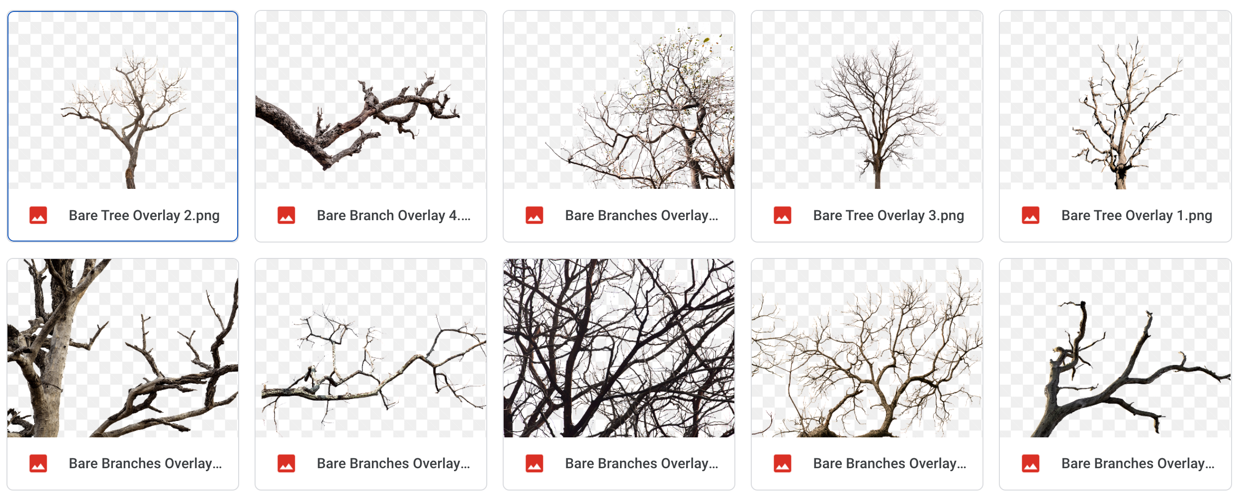 Magical Trees and Branches Overlays