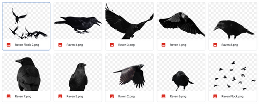 Magical Ravens