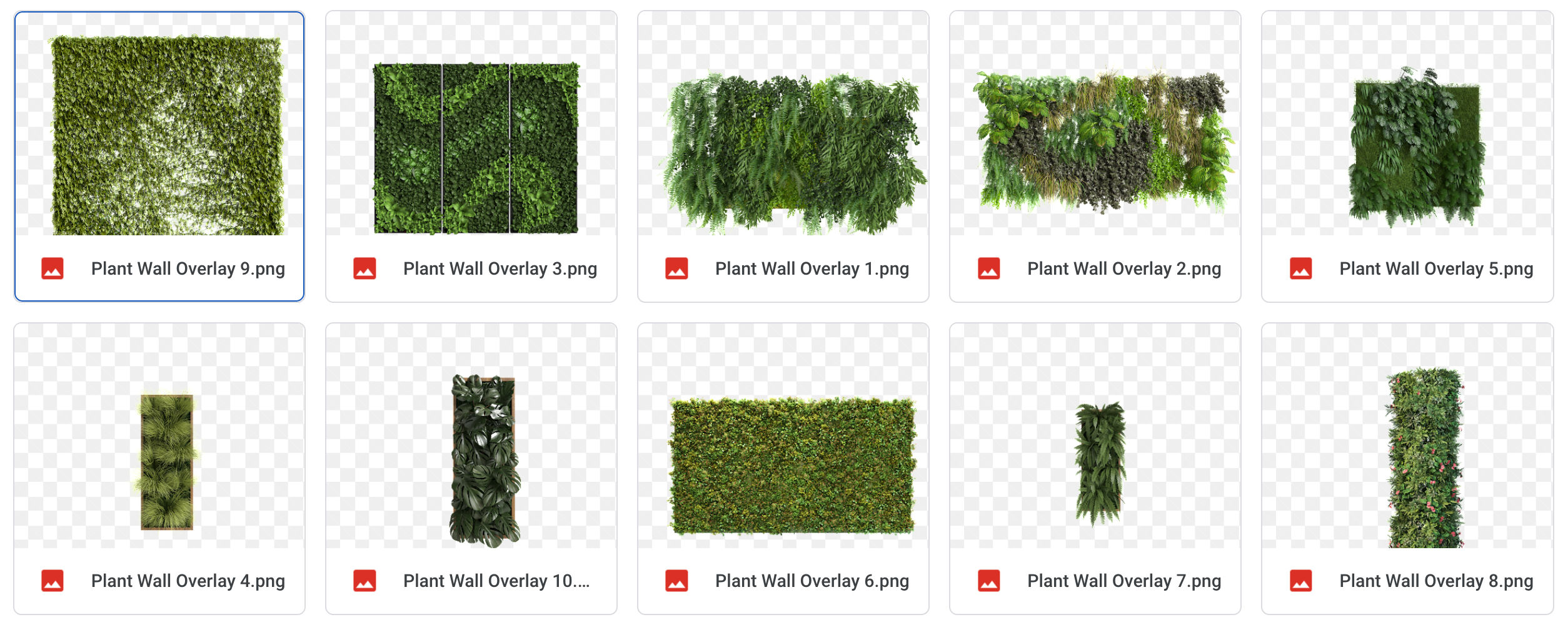 Magical Plant Walls - Meg Bitton Productions