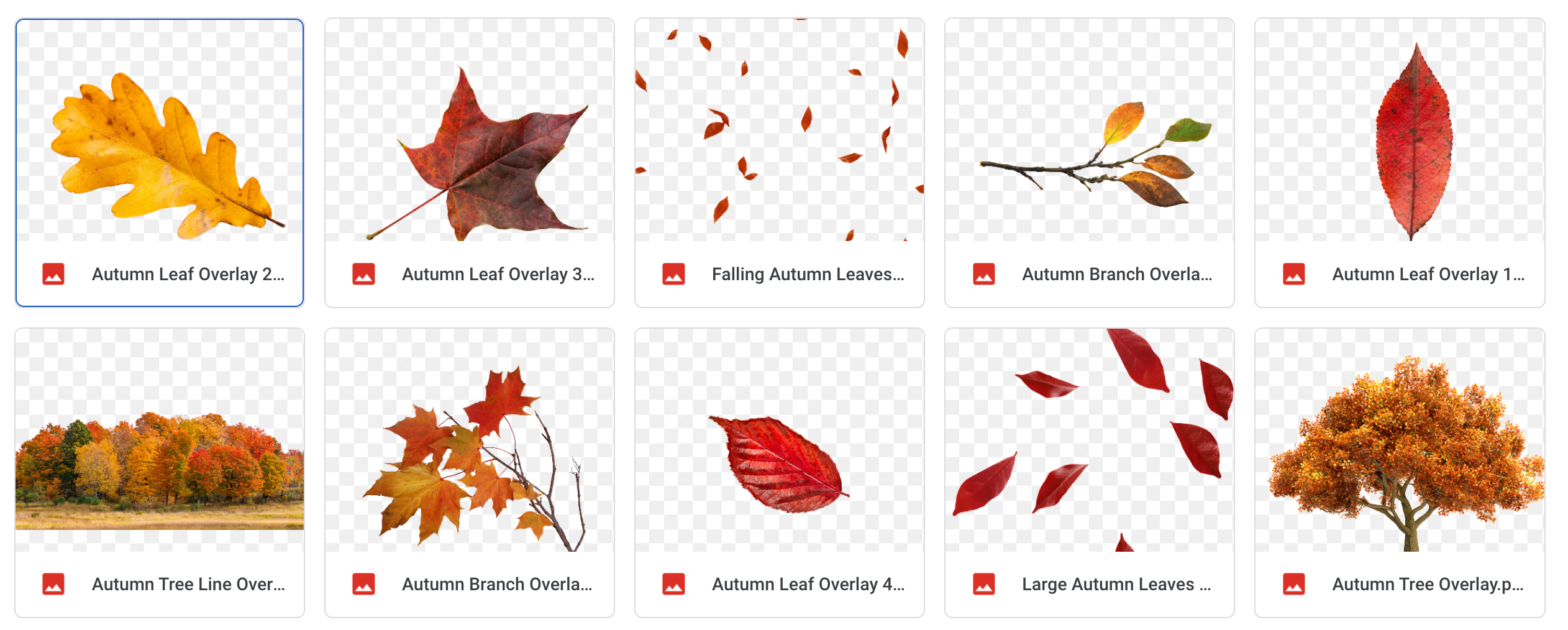 Magical Autumn Leaves - Meg Bitton Productions