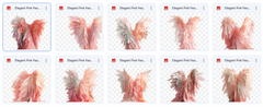 Magical Elegant Pink Feathered Wing Overlays - Meg Bitton Productions