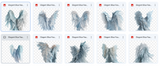 Elegant Blue Feathered Wing Overlays - Meg Bitton Productions