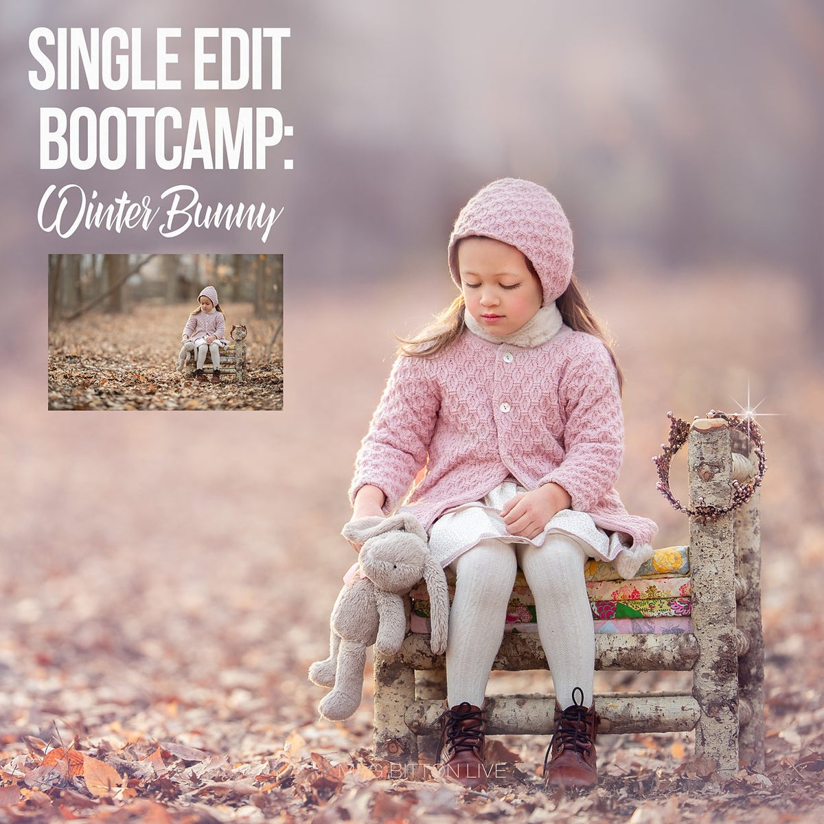 Silent Edit Bootcamp - Winter Bunny - Meg Bitton Productions