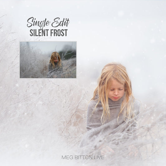 Single Edit Bootcamp: Silent Frost - Meg Bitton Productions