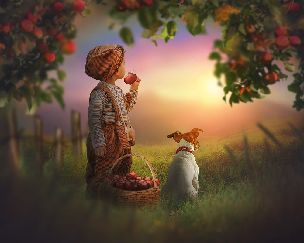 Sunrise Apples - Meg Bitton Productions