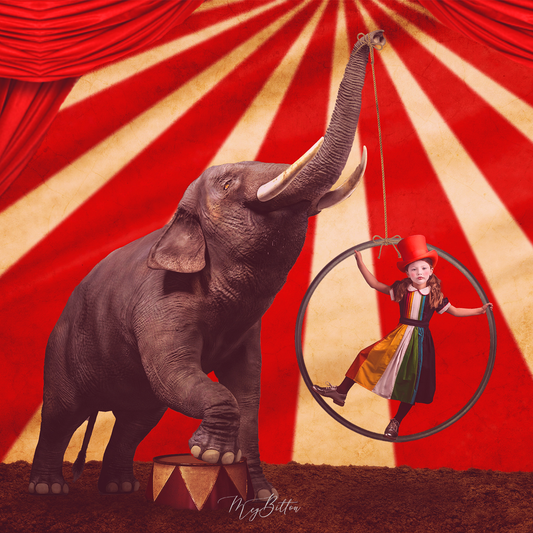 The Circus Kit - Meg Bitton Productions