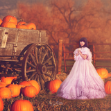 The Pumpkin Patch Kit - Meg Bitton Productions