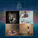 The Pet Collection - Meg Bitton Productions