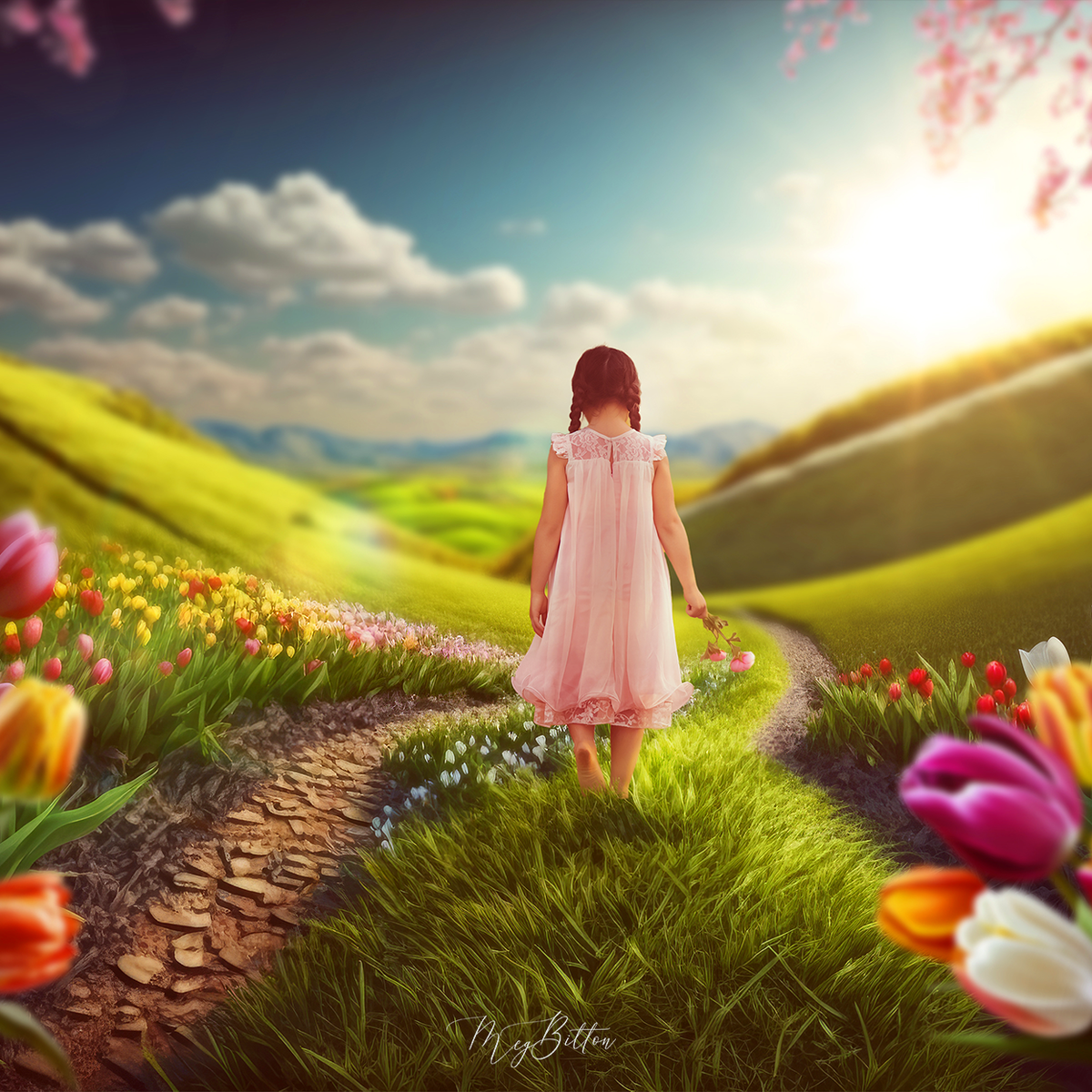 Ada Sweet Spring The Sweet Spring Kit – Meg Bitton Productions