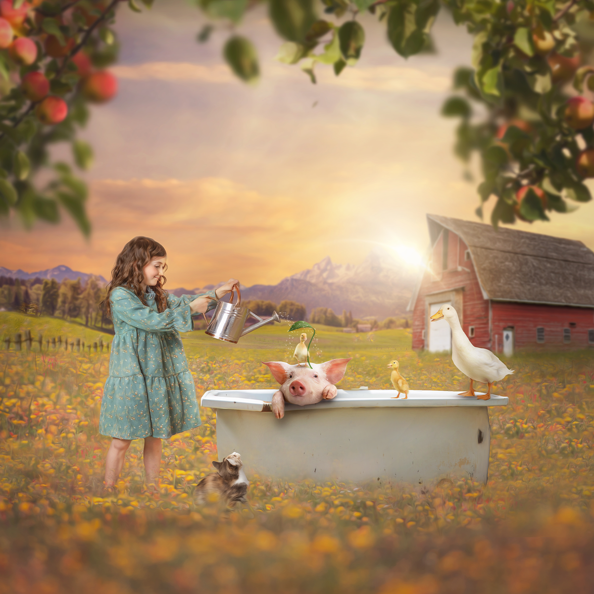 Bathing a Piglet - Meg Bitton Productions