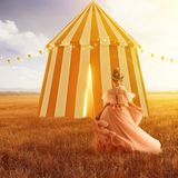 The Big Top Kit - Meg Bitton Productions