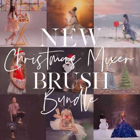 Limited Edition: Christmas Mixer Brush Bundle - Meg Bitton Productions