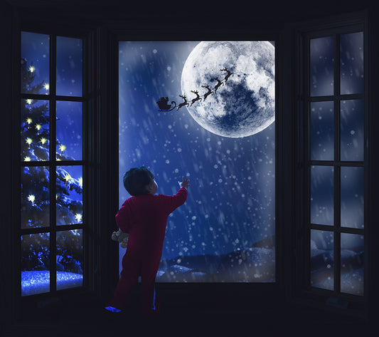 Christmas Window - Meg Bitton Productions