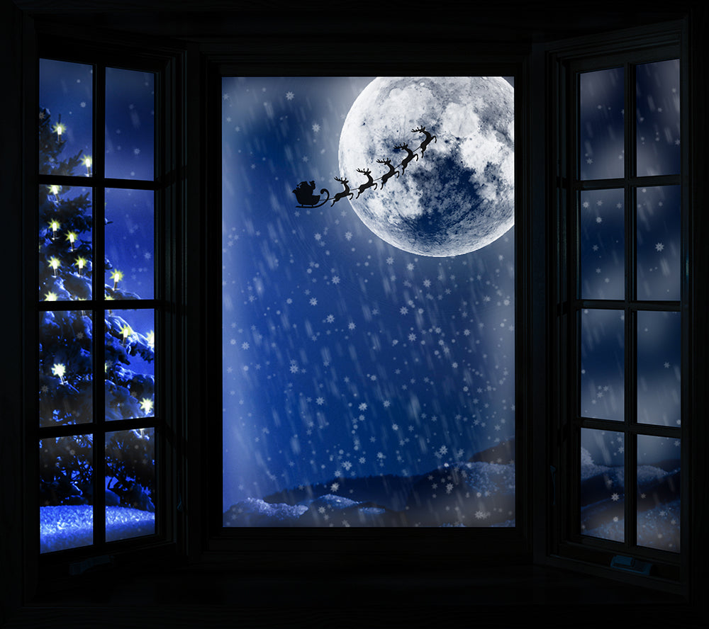Christmas Window - Meg Bitton Productions
