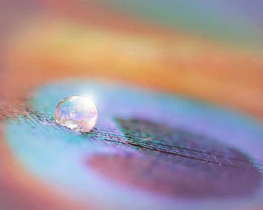 Colorful Bubble - Meg Bitton Productions