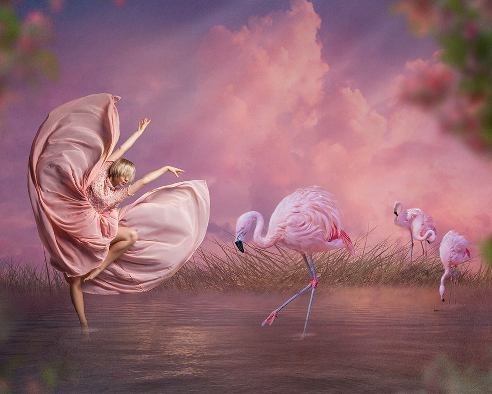 Dance of the Flamingos - Meg Bitton Productions