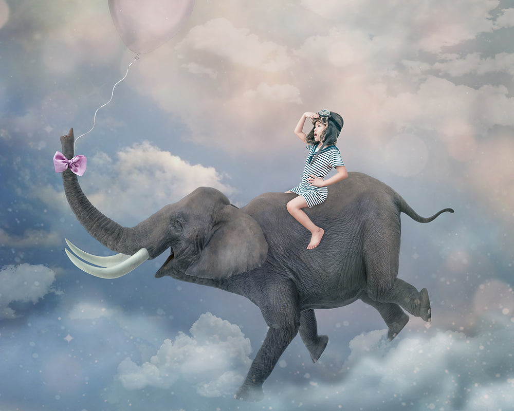 Elephant Flight - Meg Bitton Productions