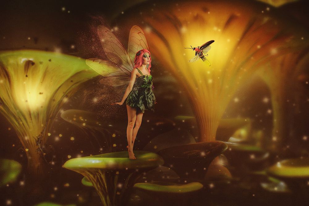 Fairy Light - Meg Bitton Productions