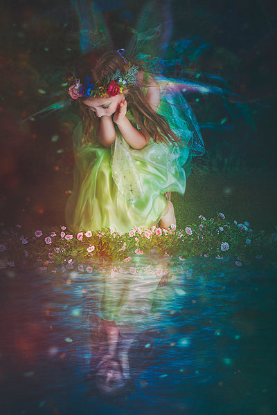Fairy Pond - Meg Bitton Productions