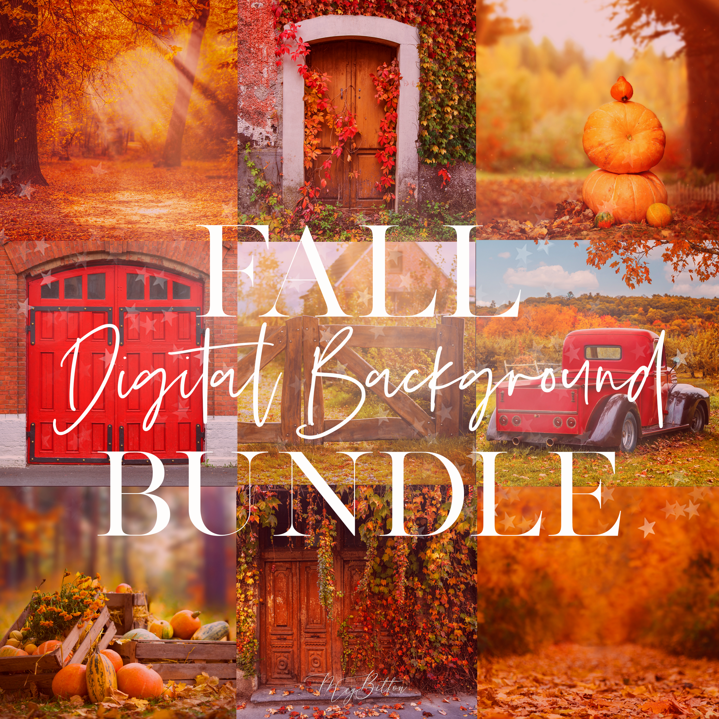 Limited Edition: Fall Digital Background Bundle - Meg Bitton Productions