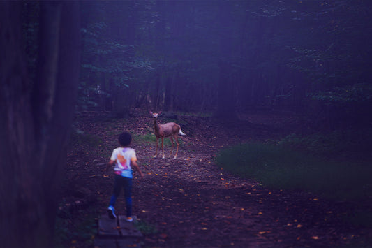 Forest Visitor Silent Edit - Meg Bitton Productions
