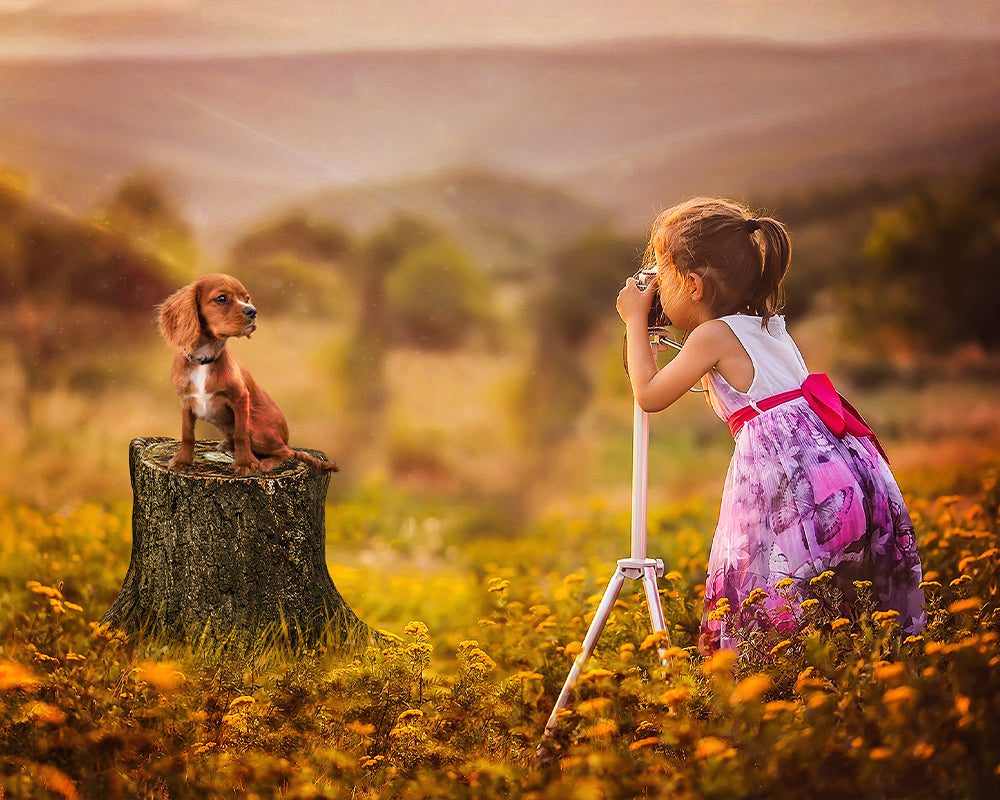 Golden Hour Puppy Photoshoot - Meg Bitton Productions