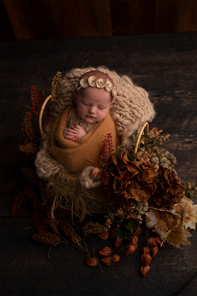 Harvest Baby - Meg Bitton Productions