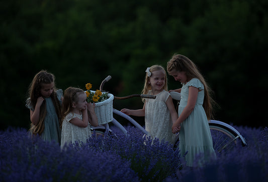 Lavender Fields - Meg Bitton Productions