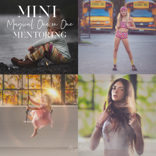 Mini Magical One on One Mentoring - Meg Bitton Productions