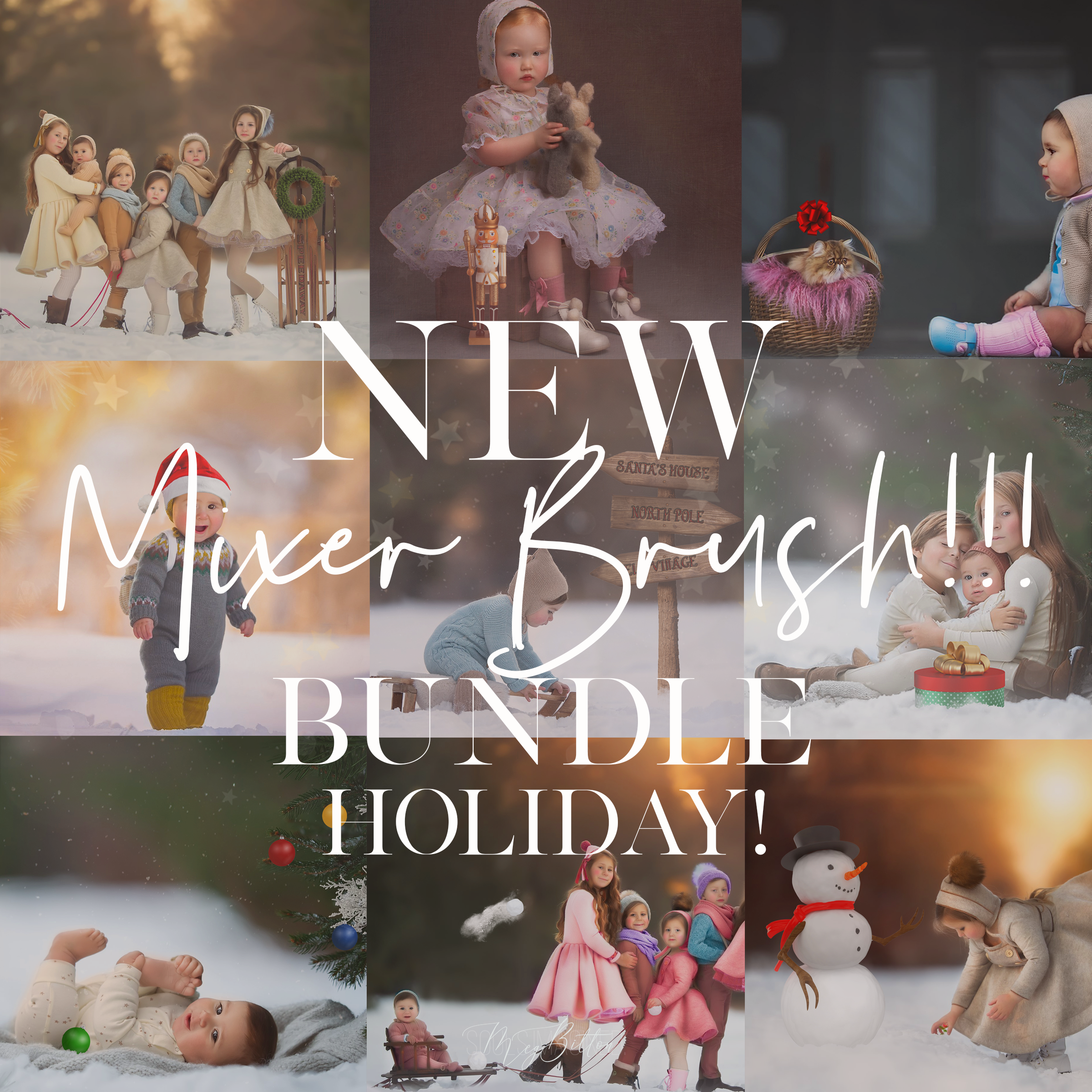 Limited Edition: Holiday Mixer Brush Bundle