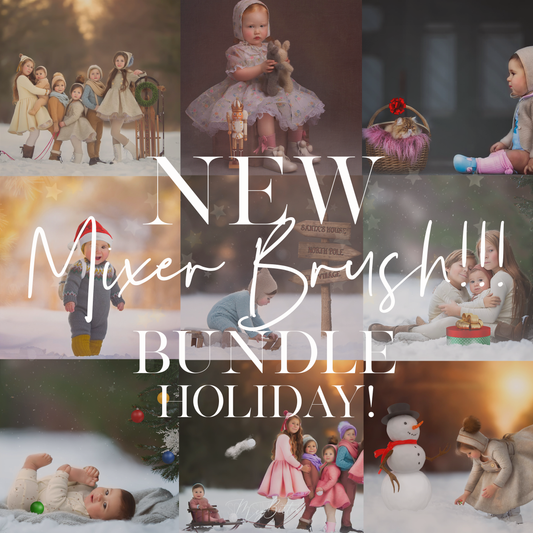 Limited Edition: Holiday Mixer Brush Bundle - Meg Bitton Productions