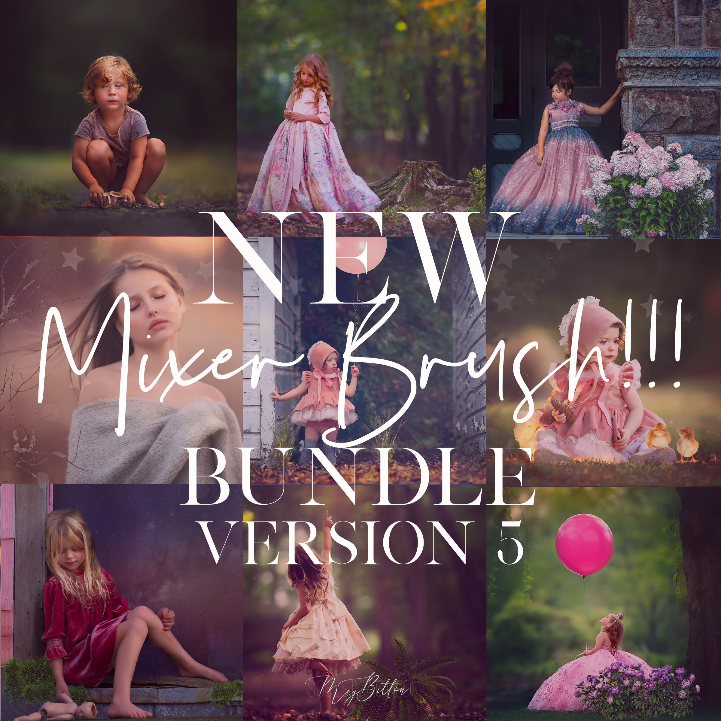 Limited Edition: Mixer Brush Bundle Version 5 - Meg Bitton Productions