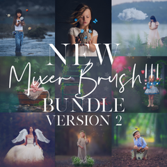 Limited Edition: Mixer Brush Bundle Version 2 - Meg Bitton Productions