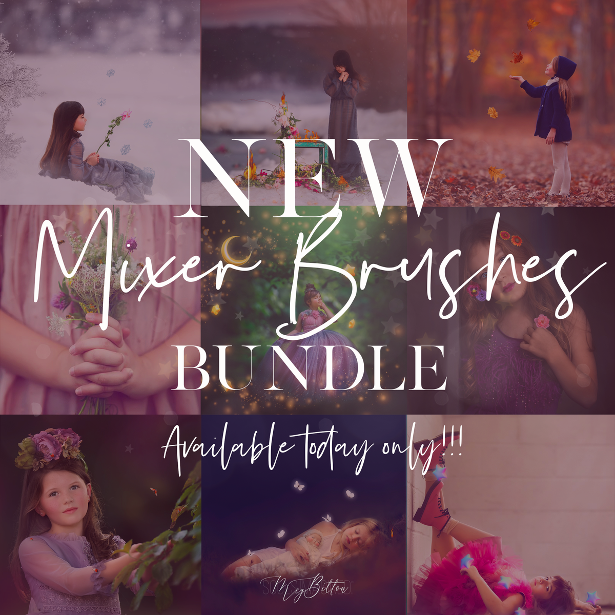 Limited Edition: Mixer Brush Bundle - Meg Bitton Productions