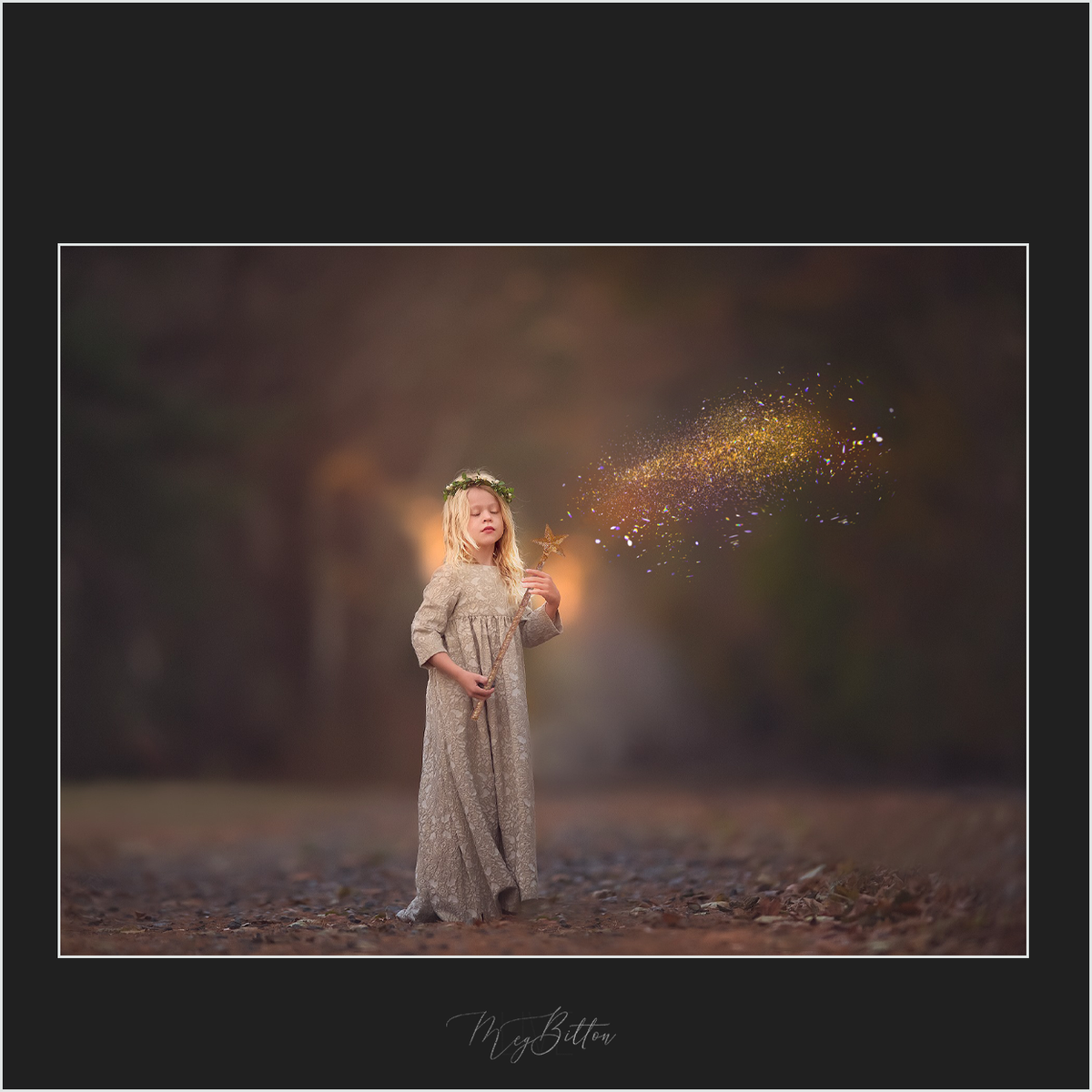 Magical Blowing Glitter Overlays - Meg Bitton Productions
