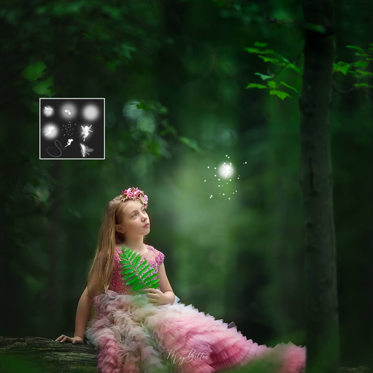 Fairies and Fireflies Brushes - Meg Bitton Productions