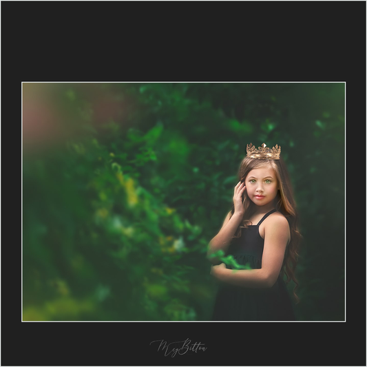 Magical Crown Overlays - Meg Bitton Productions