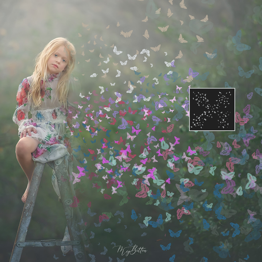 Butterfly Dispersion Brushes - Meg Bitton Productions