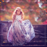 Magical Fall Blues Preset - Meg Bitton Productions